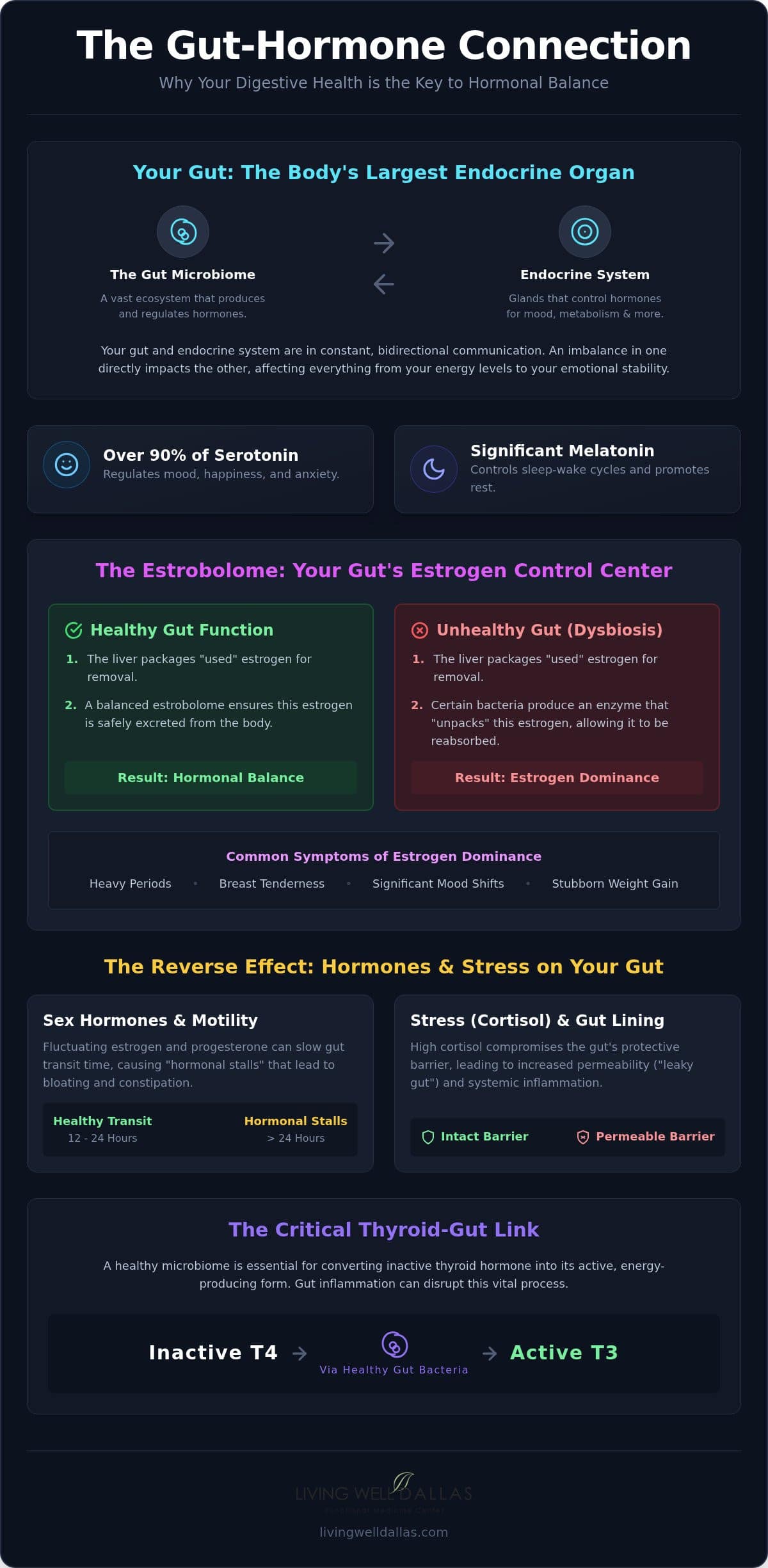 The Gut-Hormone Connection: Why Digestive Health is the Secret to Hormonal Balance