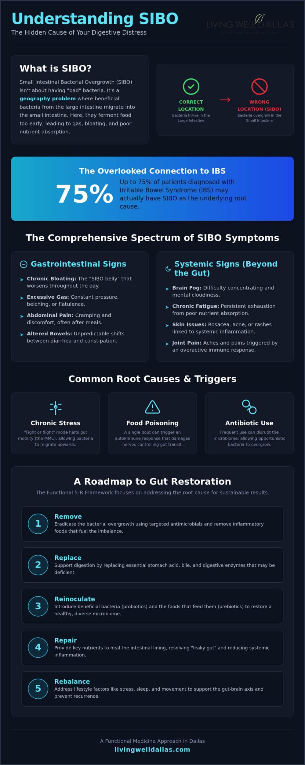 SIBO Symptoms: A Functional Medicine Guide to Identifying the Root Cause of Digestive Distress